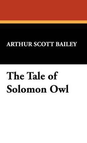 Cover image for The Tale of Solomon Owl