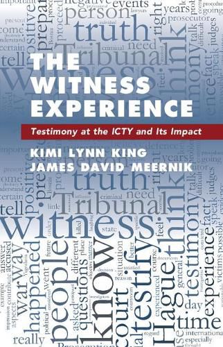 Cover image for The Witness Experience: Testimony at the ICTY and Its Impact