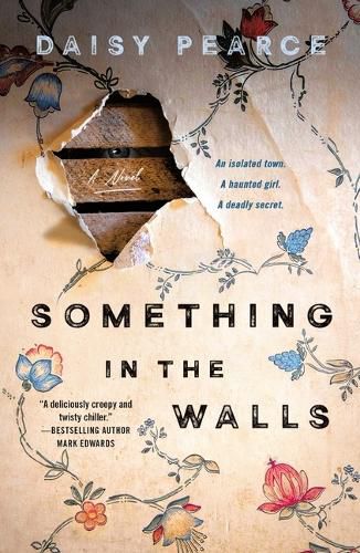 Cover image for Something in the Walls