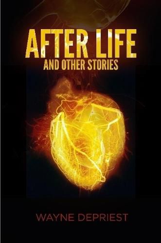 Cover image for After Life