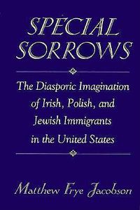 Cover image for Special Sorrows: The Diasporic Imagination of Irish, Polish, and Jewish Immigrants in the United States