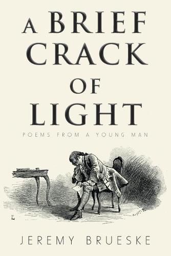 Cover image for A Brief Crack of Light