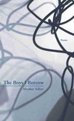 Cover image for The Boys I Borrow