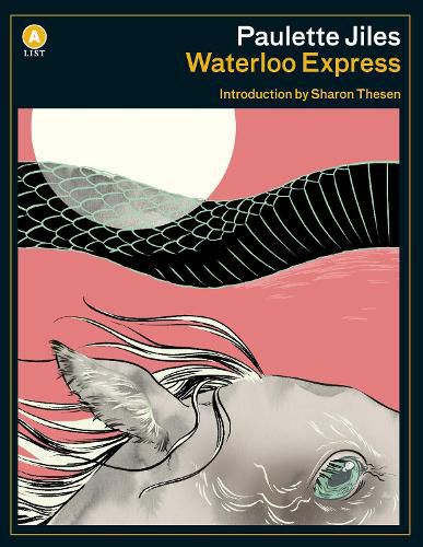 Cover image for Waterloo Express