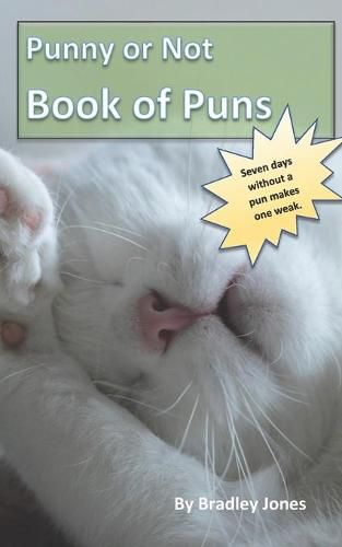 Cover image for Punny or Not Book of Puns