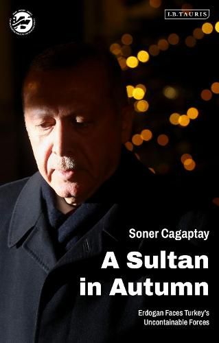 Cover image for A Sultan in Autumn: Erdogan Faces Turkey's Uncontainable Forces