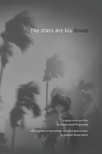 The Stars Are His Bones