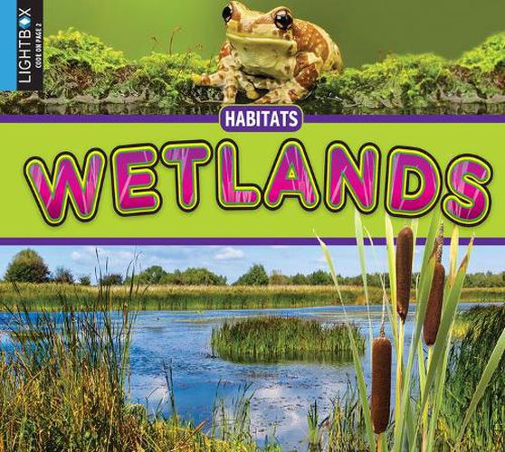 Wetlands