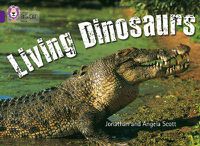 Cover image for Living Dinosaurs: Band 08/Purple