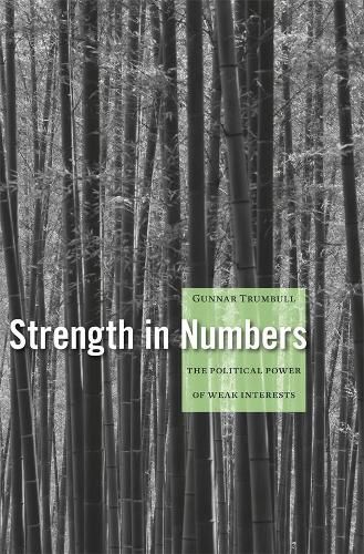 Strength in Numbers: The Political Power of Weak Interests