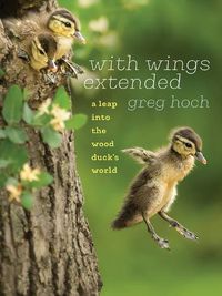 Cover image for With Wings Extended: A Leap into the Wood Duck's World