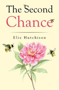 Cover image for The Second Chance