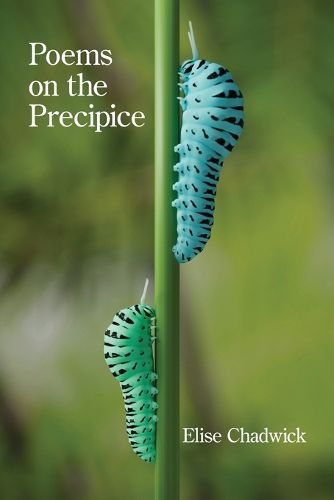 Cover image for Poems on the Precipice