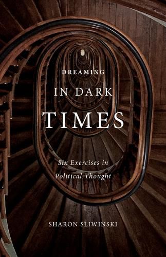 Cover image for Dreaming in Dark Times: Six Exercises in Political Thought