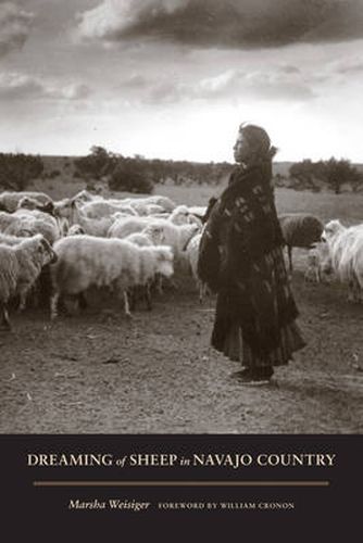 Cover image for Dreaming of Sheep in Navajo Country