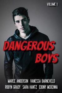 Cover image for Dangerous Boys: Down Under YA Authors Present