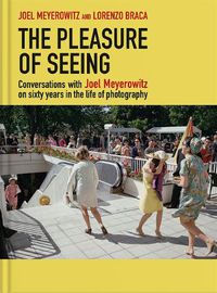 Cover image for The Pleasure of Seeing: Conversations on the life and career of Joel Meyerowitz