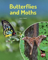 Cover image for Butterflies and Moths