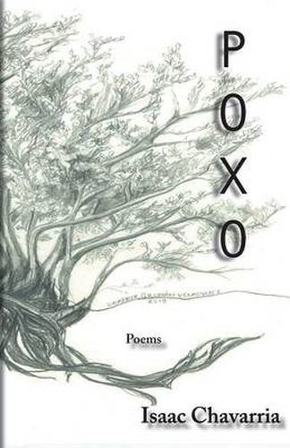 Cover image for Poxo