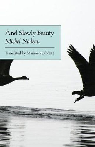 Cover image for And Slowly Beauty