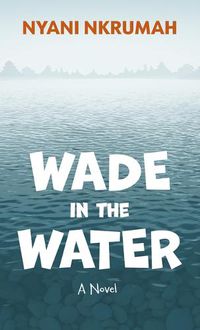 Cover image for Wade in the Water