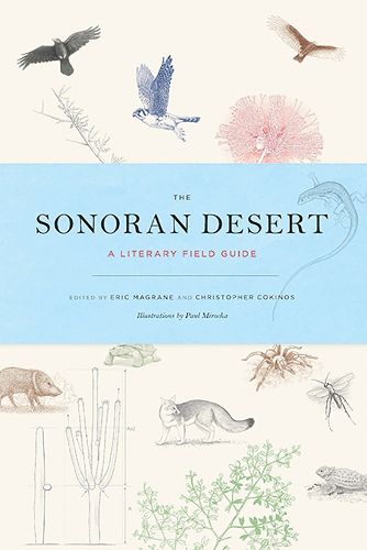 Cover image for The Sonoran Desert: A Literary Field Guide