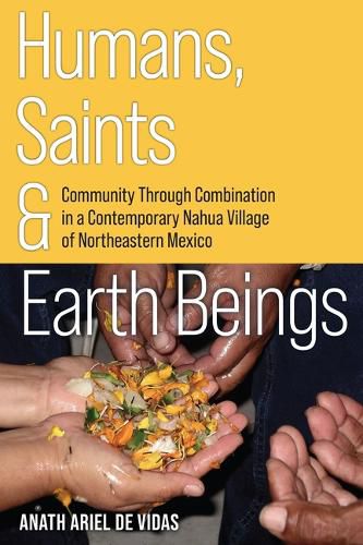 Cover image for Humans, Saints, and Earth Beings