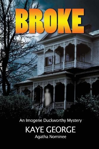 Cover image for Broke