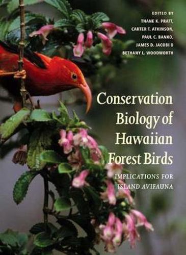 Cover image for Conservation Biology of Hawaiian Forest Birds: Implications for Island Avifauna