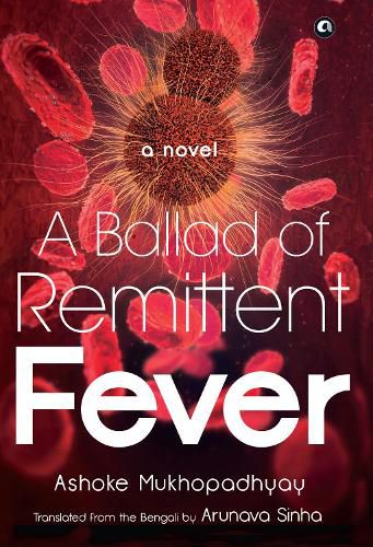 Cover image for A BALLAD OF REMITTENT FEVER: A Novel