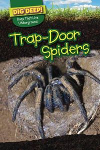 Cover image for Trap-Door Spiders