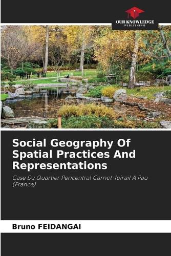 Cover image for Social Geography Of Spatial Practices And Representations