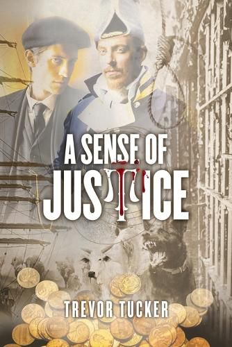 Cover image for A Sense of Justice