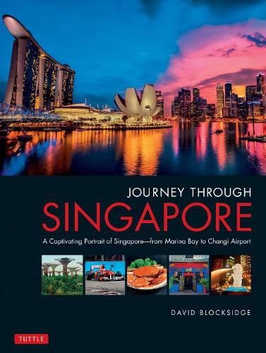 Journey Through Singapore: A Captivating Portrait of Singapore - from Marina Bay to Changi Airport