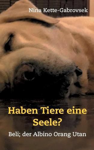 Cover image for Haben Tiere eine Seele?: Beli, der Albino Orang Utan