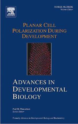 Cover image for Planar Cell Polarization during Development