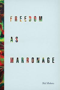 Cover image for Freedom as Marronage