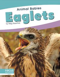 Cover image for Animal Babies: Eaglets