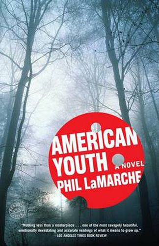 Cover image for American Youth: A Novel