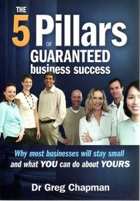 Cover image for The 5 Pillars of Guaranteed Business Success: Why most businesses will stay small and what YOU can do about YOURS