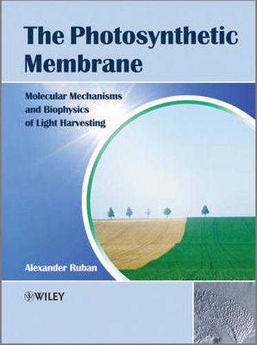 Cover image for The Photosynthetic Membrane: Molecular Mechanisms and Biophysics of Light Harvesting