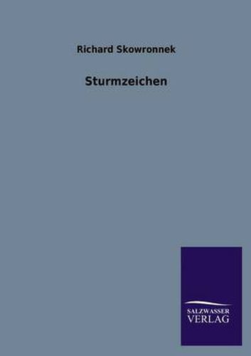 Cover image for Sturmzeichen