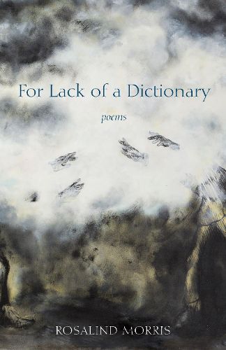 Cover image for For Lack of a Dictionary