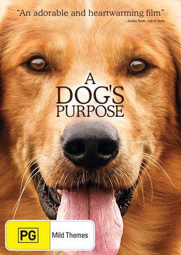 Dogs Purpose Dvd
