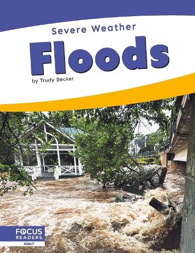 Cover image for Floods