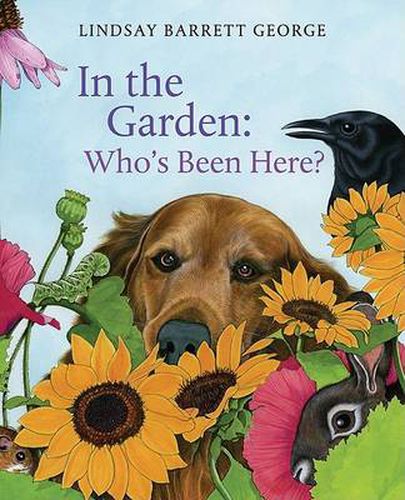 Cover image for In The Garden: Who's Been Here?