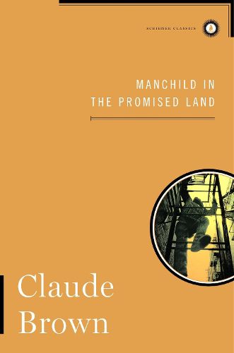 Cover image for Manchild in the Promised Land