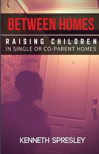 Cover image for Between Homes: Raising Children in Single or Co-Parent Homes