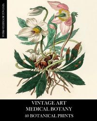 Cover image for Vintage Art: Medical Botany 40 Botanical Prints