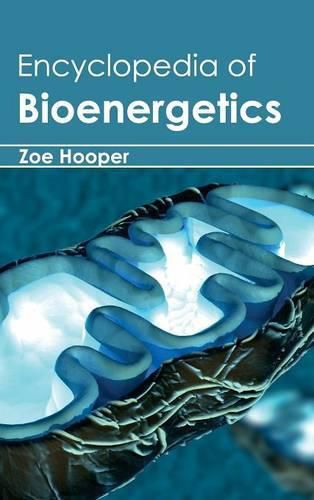 Cover image for Encyclopedia of Bioenergetics